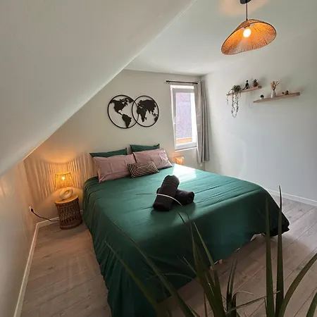 Le Col'vert - 50m2 - Centre Appartamento Colmar