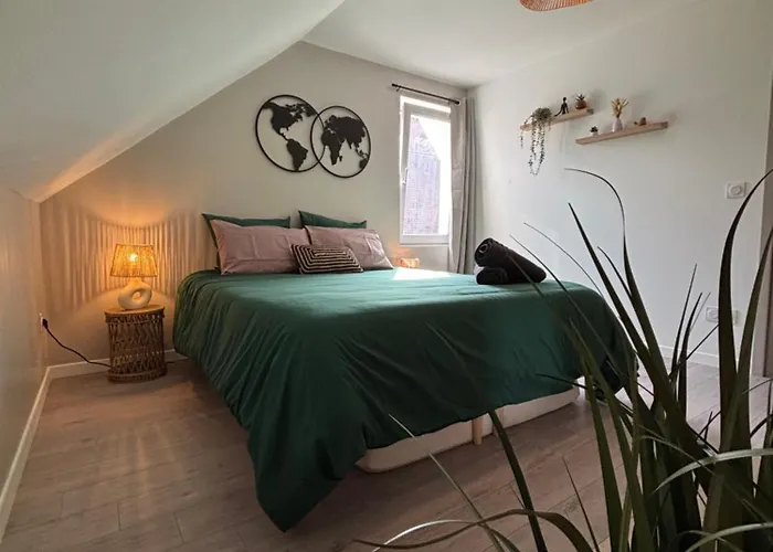 Le Col'vert - 50m2 - Centre Colmar